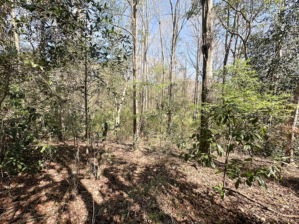 135 Woodlawn Drive, Eufaula, Alabama image 38