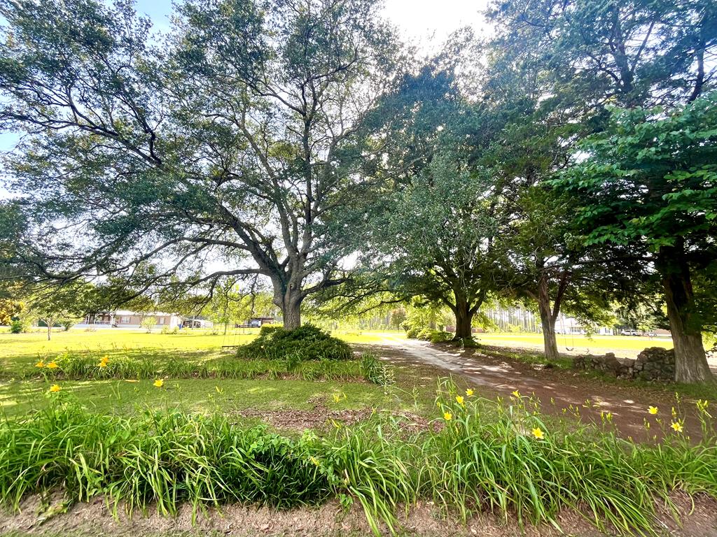449 County Road 112, Columbiaville, Alabama image 23