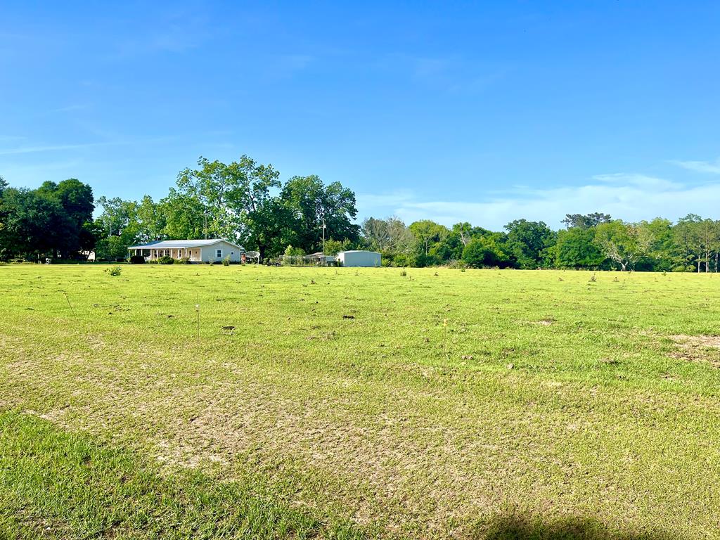 449 County Road 112, Columbiaville, Alabama image 28