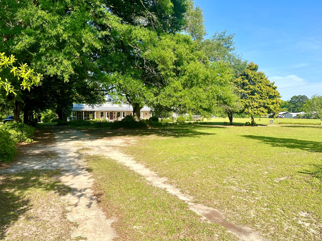 449 County Road 112, Columbiaville, Alabama image 3