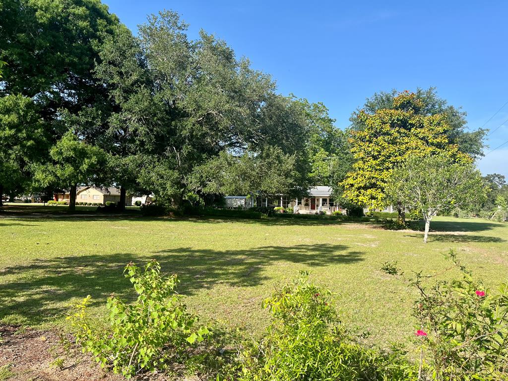449 County Road 112, Columbiaville, Alabama image 27