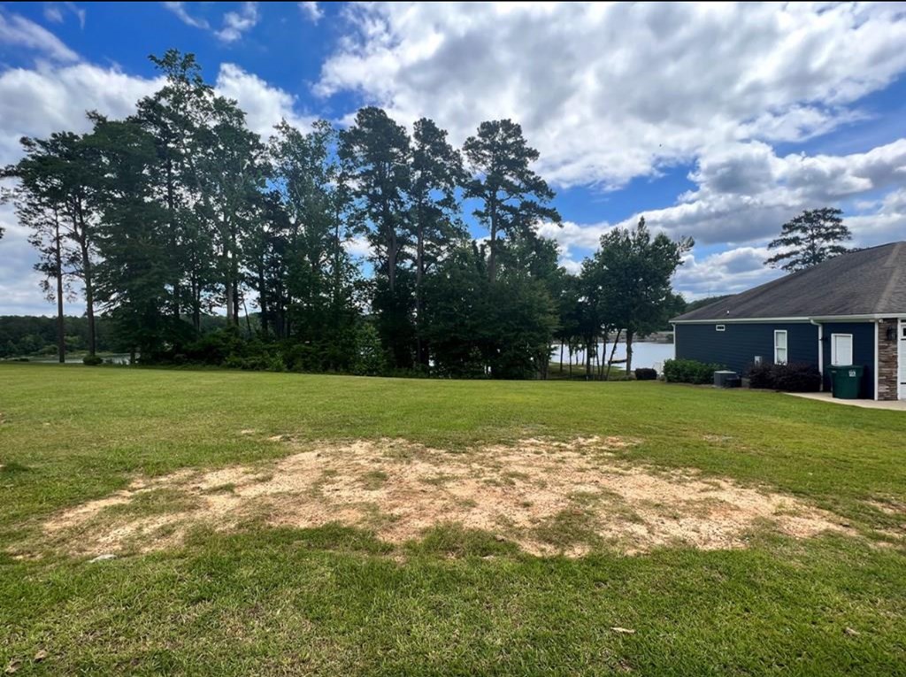 Lot 13 Walden Woods Loop, Eufaula, Alabama image 9