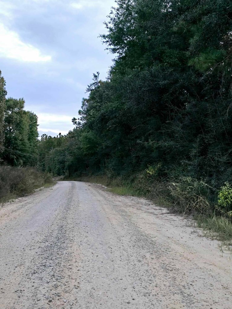 Gopher Ridge Rd, Samson, Alabama image 2