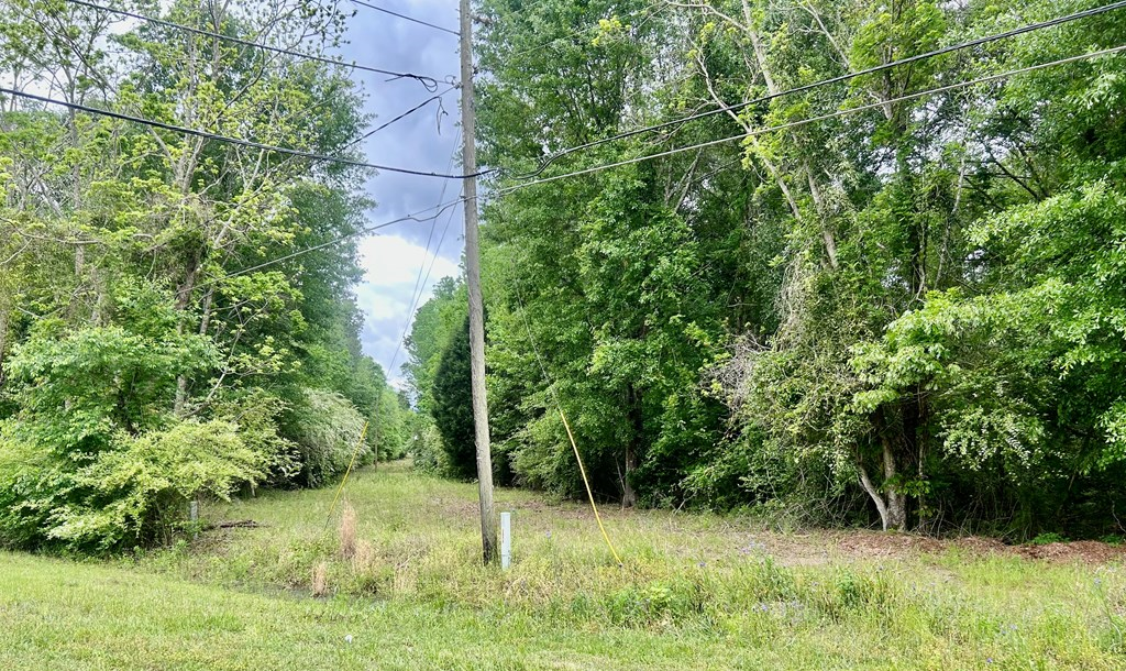 753 NW Hatton Rd, Dothan, Alabama image 3