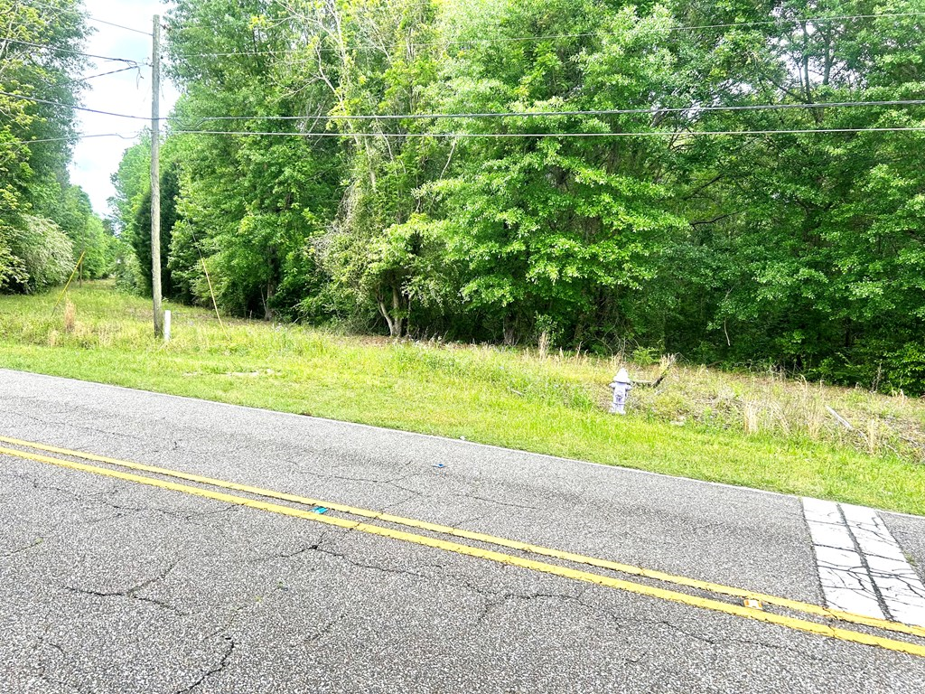 753 NW Hatton Rd, Dothan, Alabama image 4