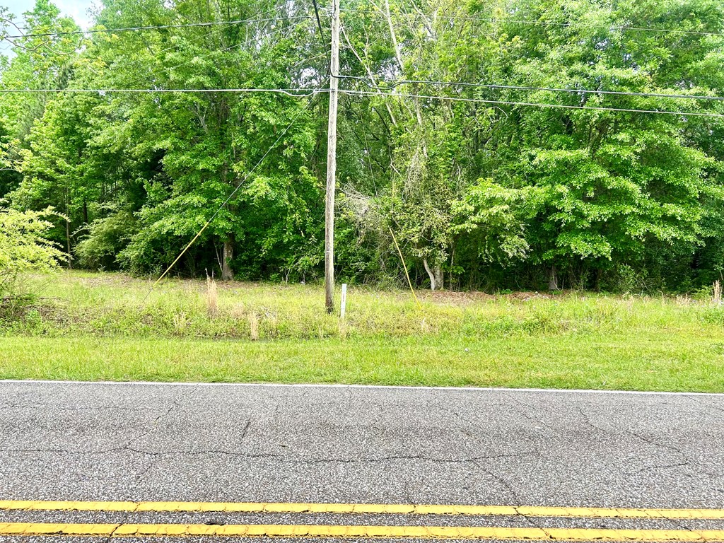 753 NW Hatton Rd, Dothan, Alabama image 5