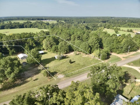Vacant Land For Sale - 2.73 ACRES County Road 40<br/> Chancellor, AL 36316