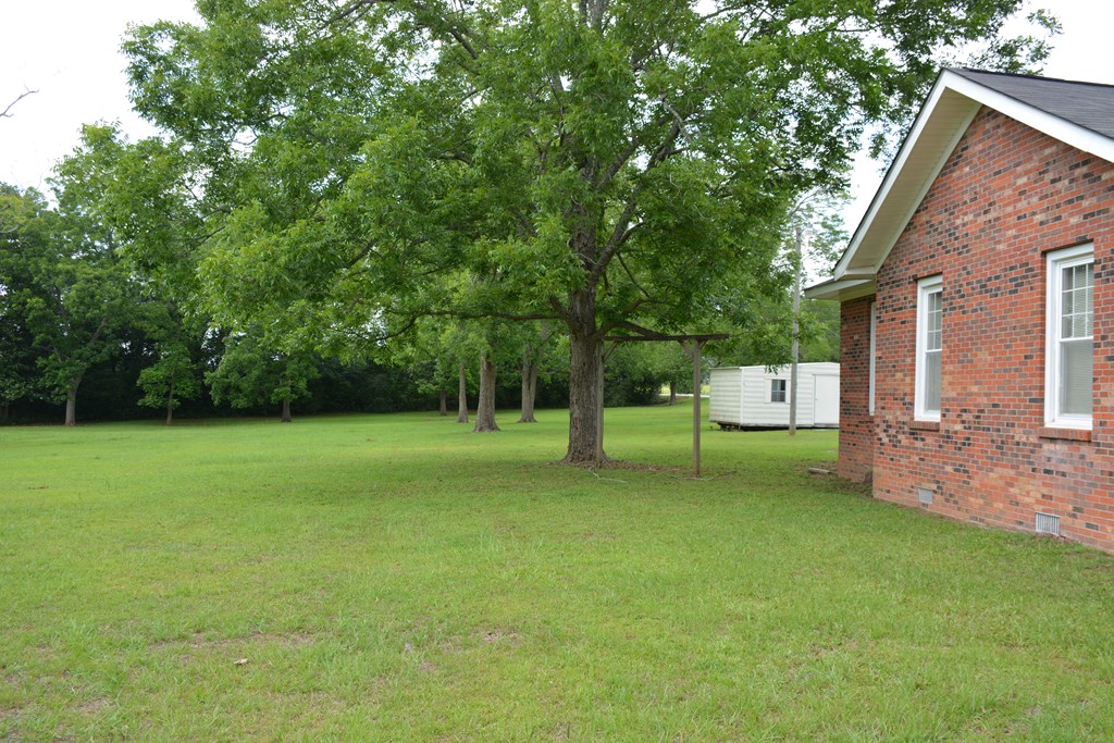 407 N John Street, New Brockton, Alabama image 37