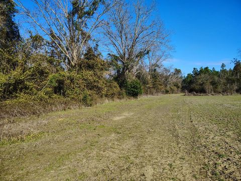 Vacant Land For Sale - 000 Guy Branch Rd<br/> Cottonwood, AL 36320