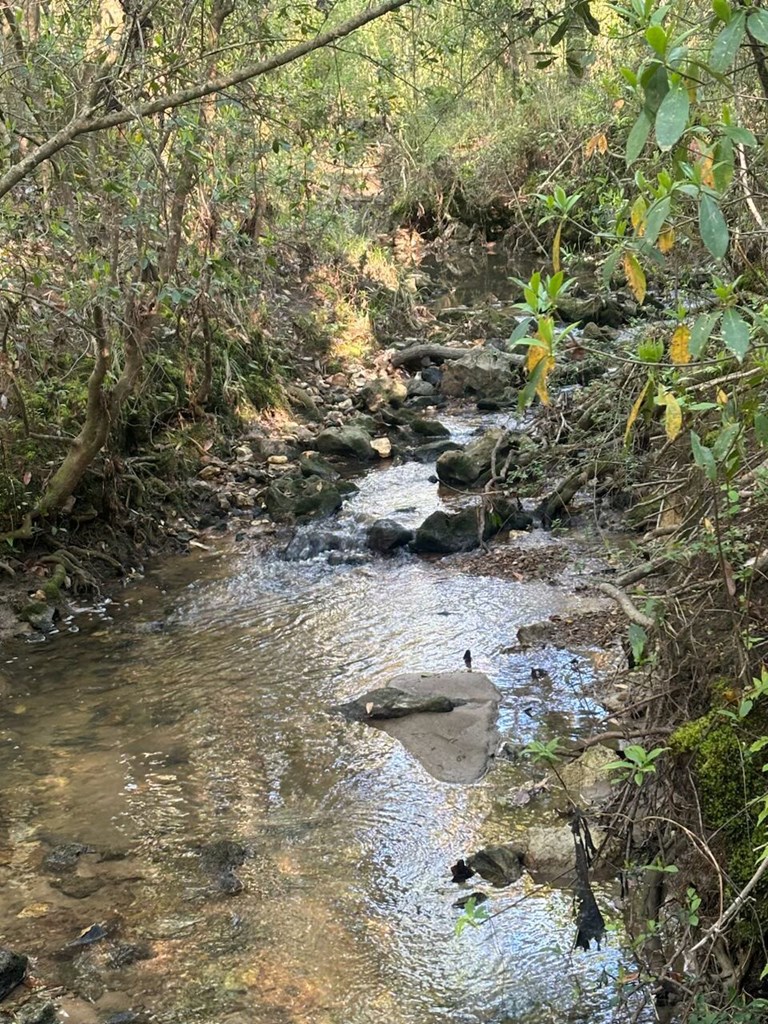 Dothan, Alabama 36303, United States, ,Land,Active,132730