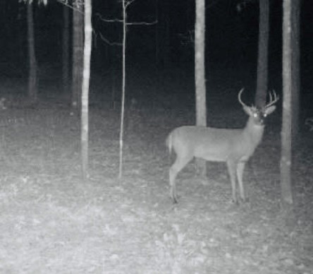 Dothan, Alabama 36303, United States, ,Land,Active,132730