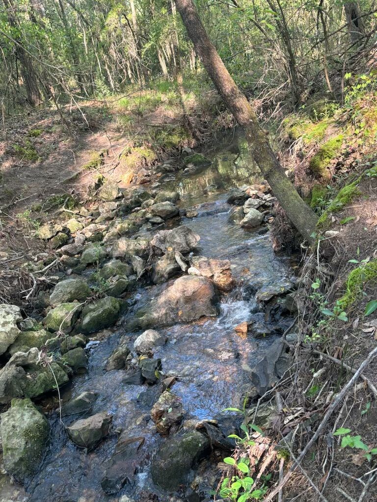 Dothan, Alabama 36303, United States, ,Land,Active,132730