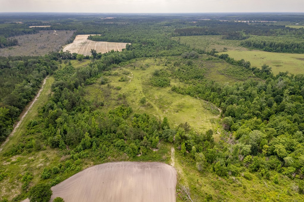 Highway 84 E, Gordon, Alabama image 13