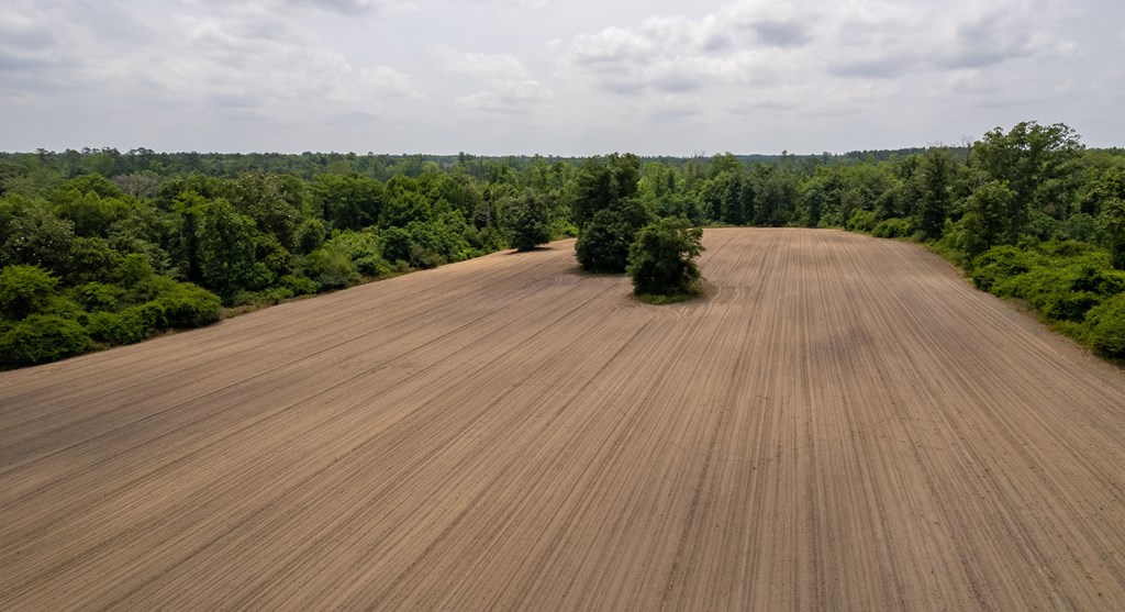 Highway 84 E, Gordon, Alabama image 10