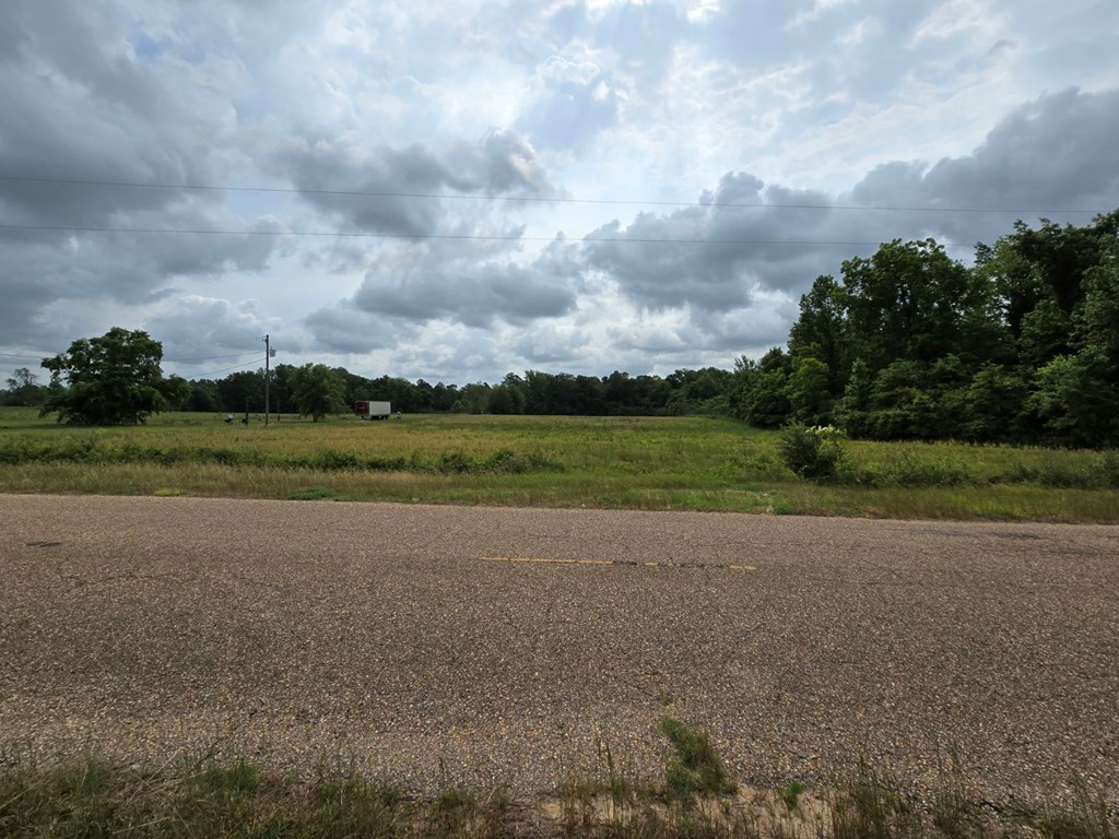 Garrett Rd, Ashford, Alabama image 2