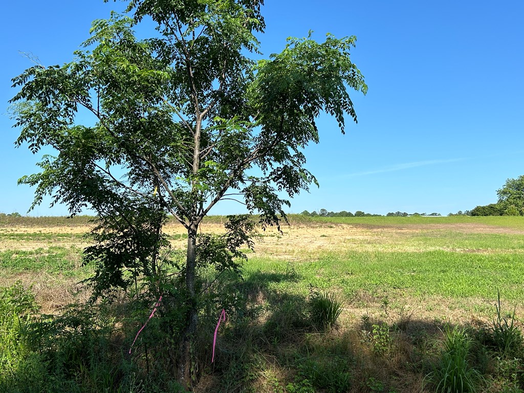 40.522+-ac Cecil Varnum Rd, Dothan, Alabama image 6