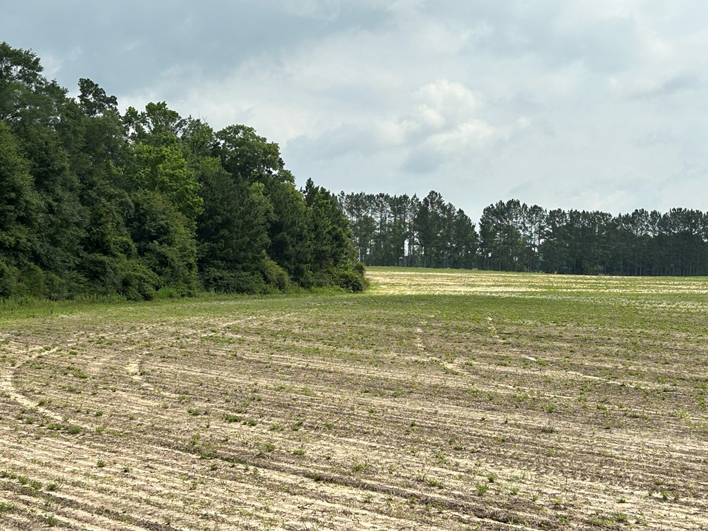 40.522+-ac Cecil Varnum Rd, Dothan, Alabama image 33
