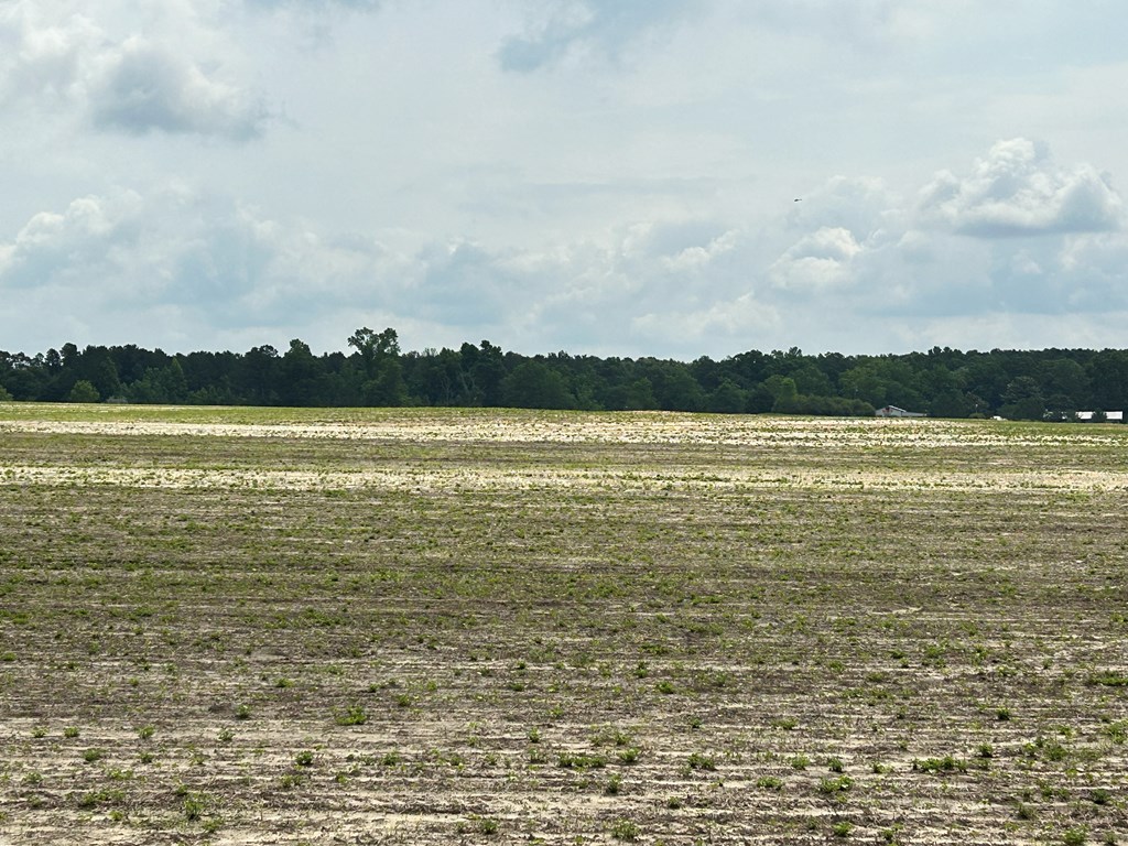 40.522+-ac Cecil Varnum Rd, Dothan, Alabama image 32