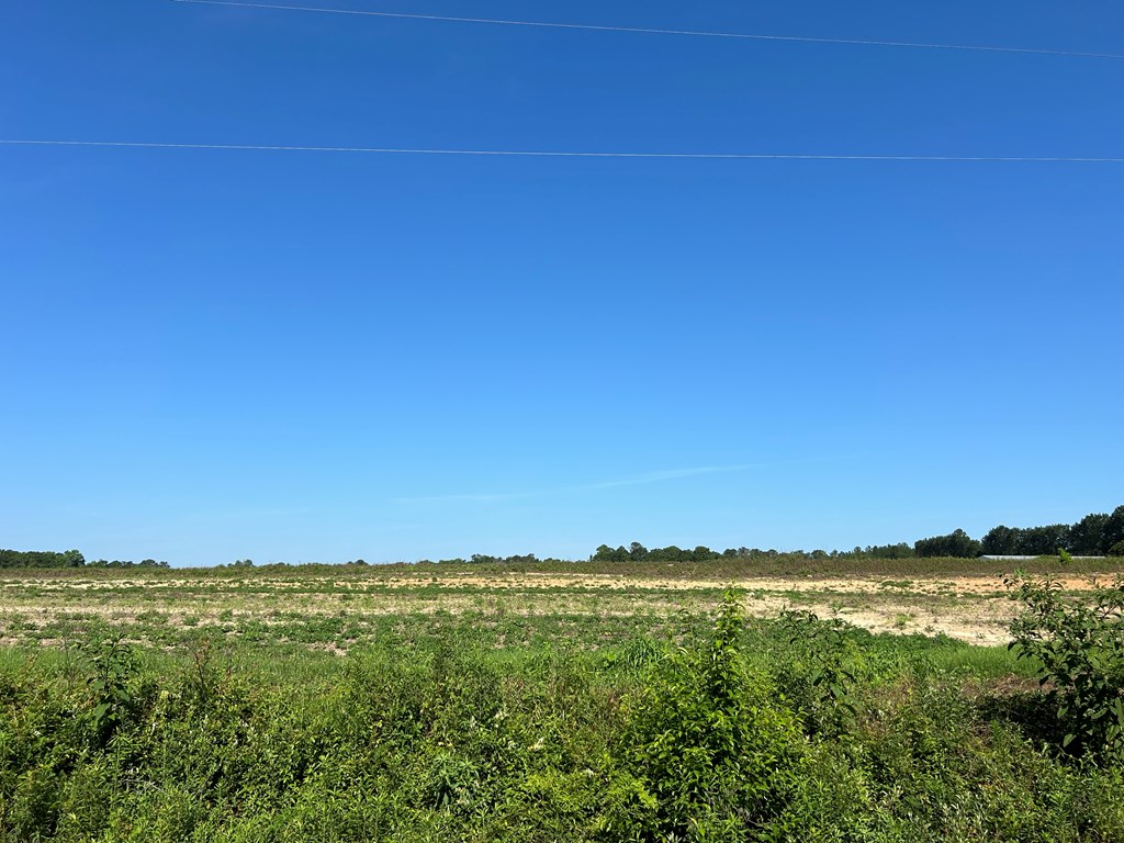 40.522+-ac Cecil Varnum Rd, Dothan, Alabama image 9
