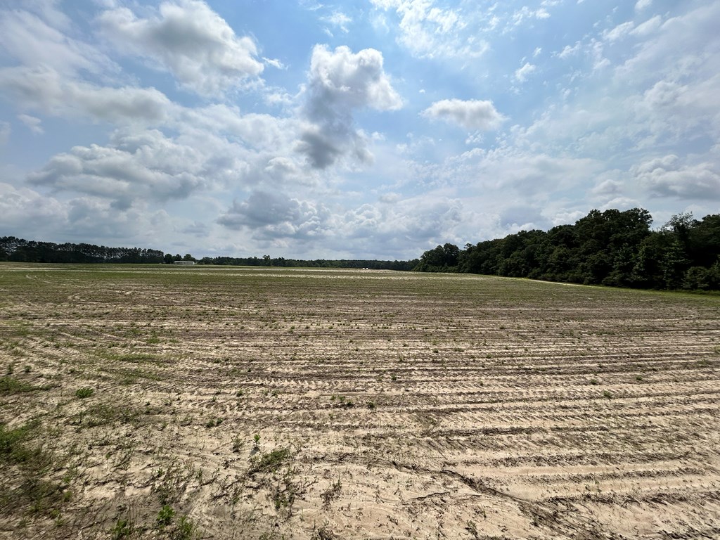40.522+-ac Cecil Varnum Rd, Dothan, Alabama image 31