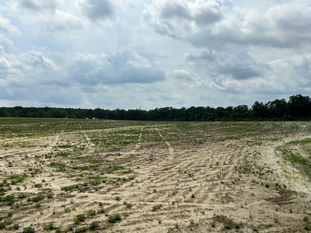 40.522+-ac Cecil Varnum Rd, Dothan, Alabama image 30