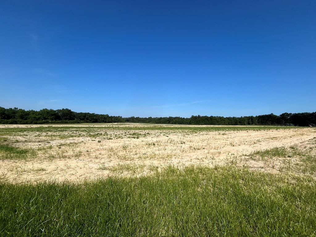 40.522+-ac Cecil Varnum Rd, Dothan, Alabama image 4