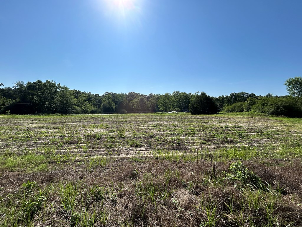 40.522+-ac Cecil Varnum Rd, Dothan, Alabama image 3