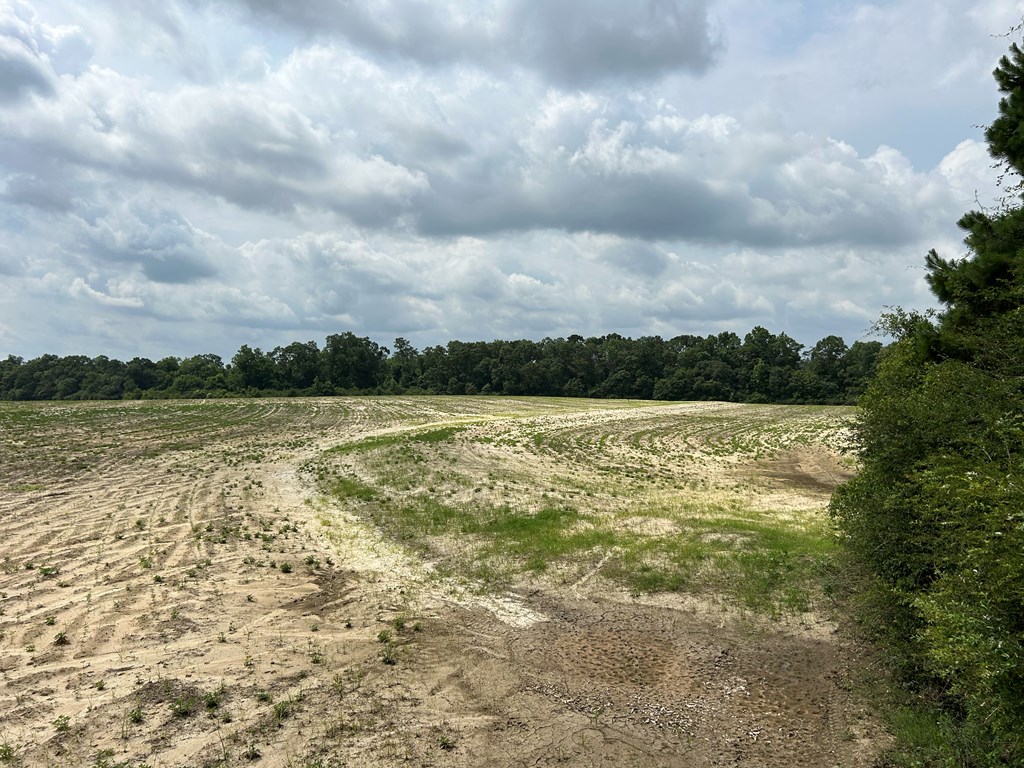 40.522+-ac Cecil Varnum Rd, Dothan, Alabama image 29
