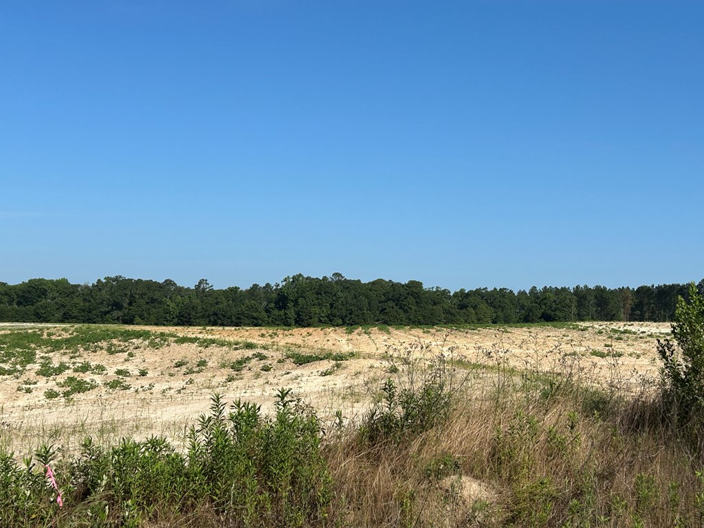 40.522+-ac Cecil Varnum Rd, Dothan, Alabama image 26