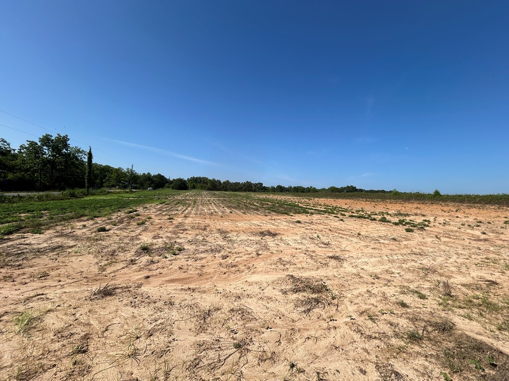40.522+-ac Cecil Varnum Rd, Dothan, Alabama image 5