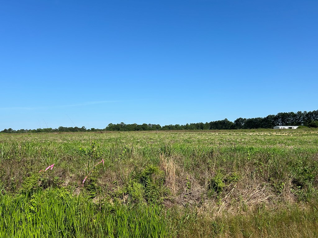 40.522+-ac Cecil Varnum Rd, Dothan, Alabama image 15