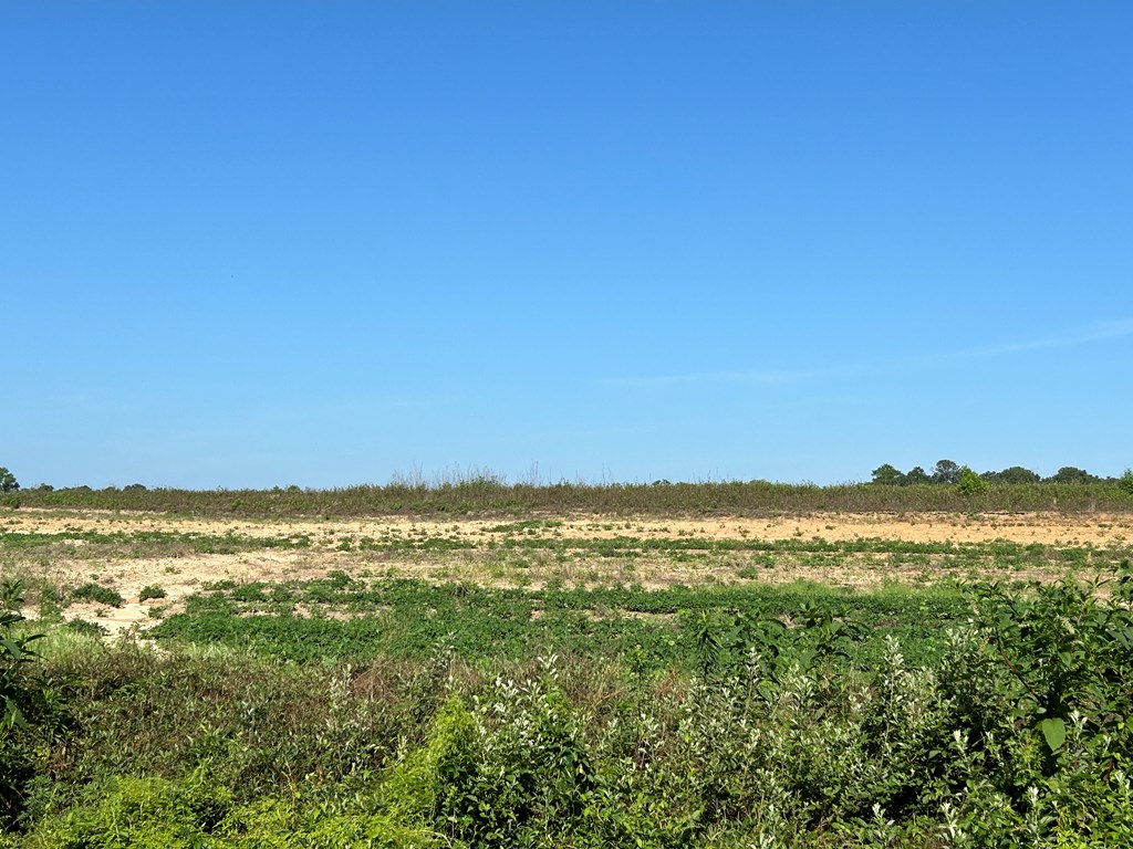 40.522+-ac Cecil Varnum Rd, Dothan, Alabama image 8