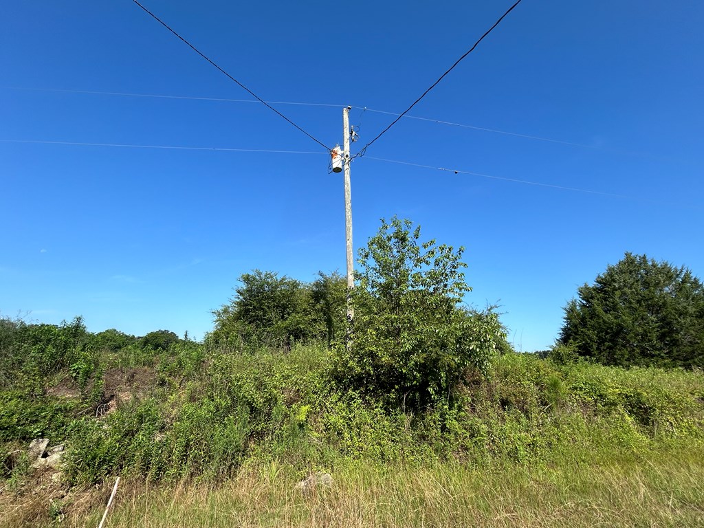 40.522+-ac Cecil Varnum Rd, Dothan, Alabama image 21