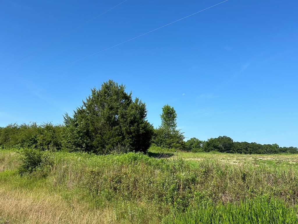40.522+-ac Cecil Varnum Rd, Dothan, Alabama image 18