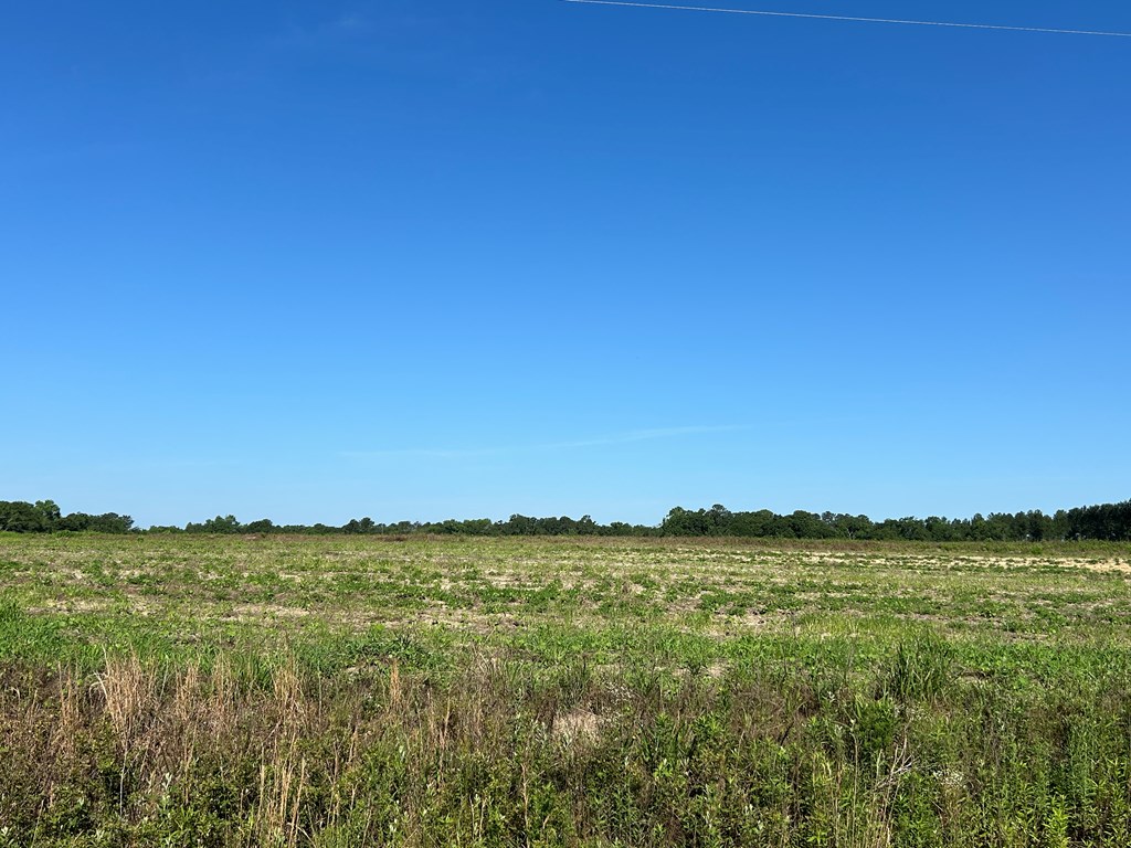 40.522+-ac Cecil Varnum Rd, Dothan, Alabama image 14