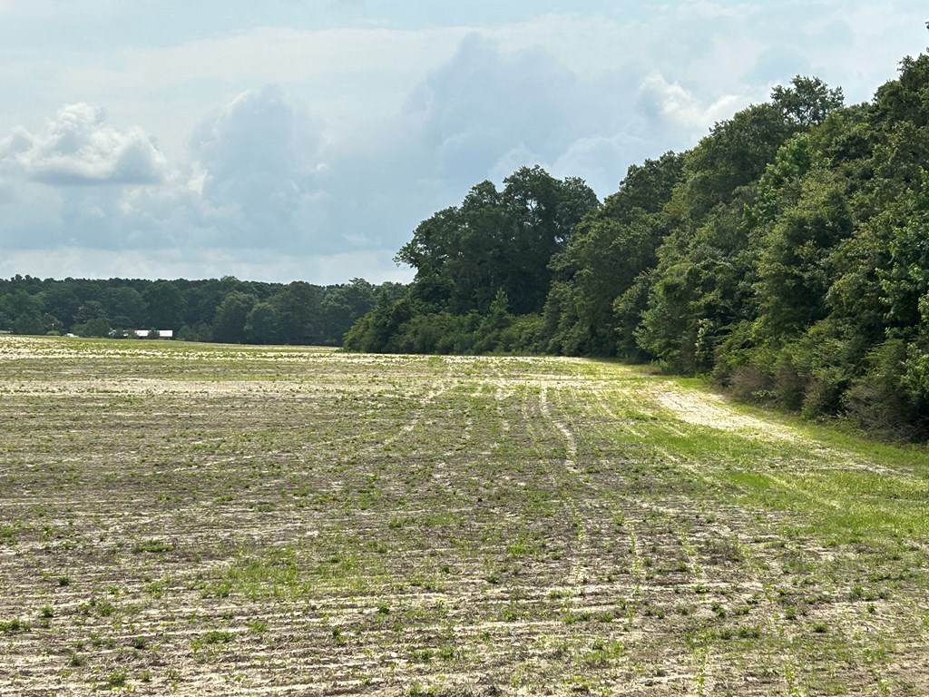 40.522+-ac Cecil Varnum Rd, Dothan, Alabama image 34