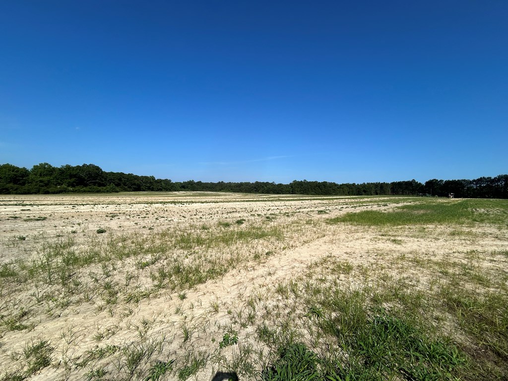 40.522+-ac Cecil Varnum Rd, Dothan, Alabama image 2