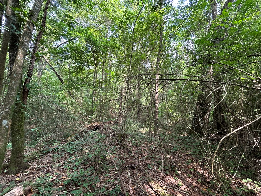 40.522+-ac Cecil Varnum Rd, Dothan, Alabama image 37