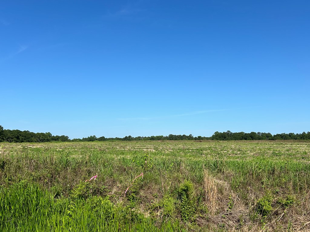 40.522+-ac Cecil Varnum Rd, Dothan, Alabama image 17