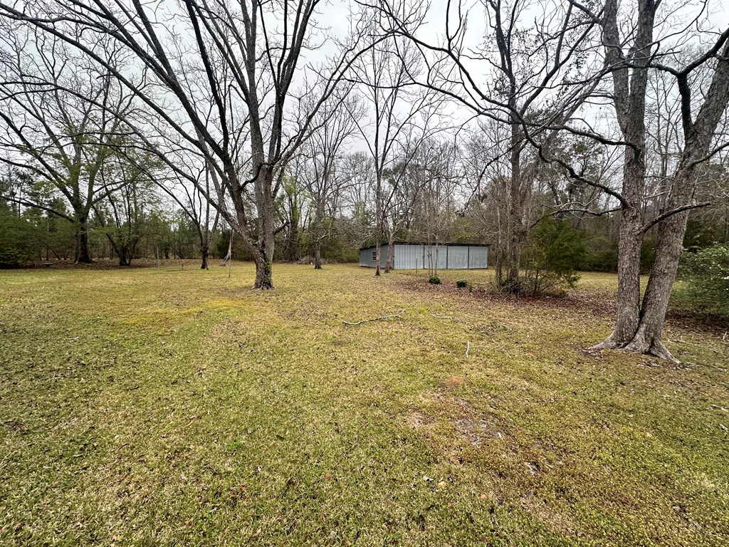 6508 S County Road 55, Cottonwood, Alabama image 10