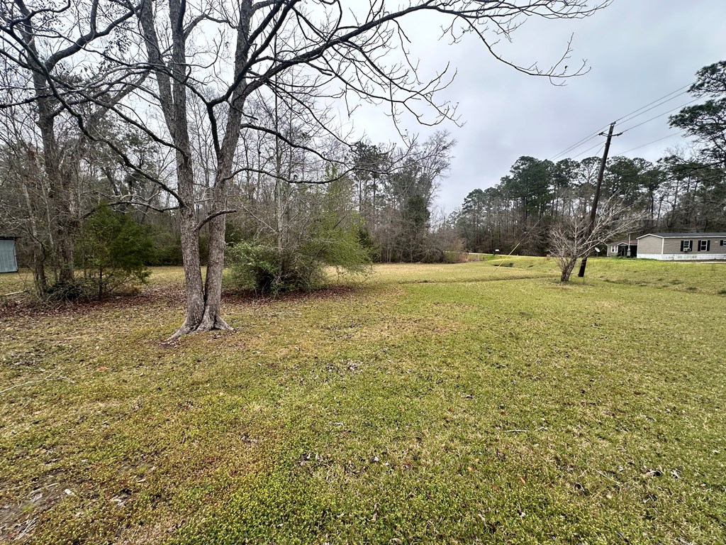6508 S County Road 55, Cottonwood, Alabama image 11