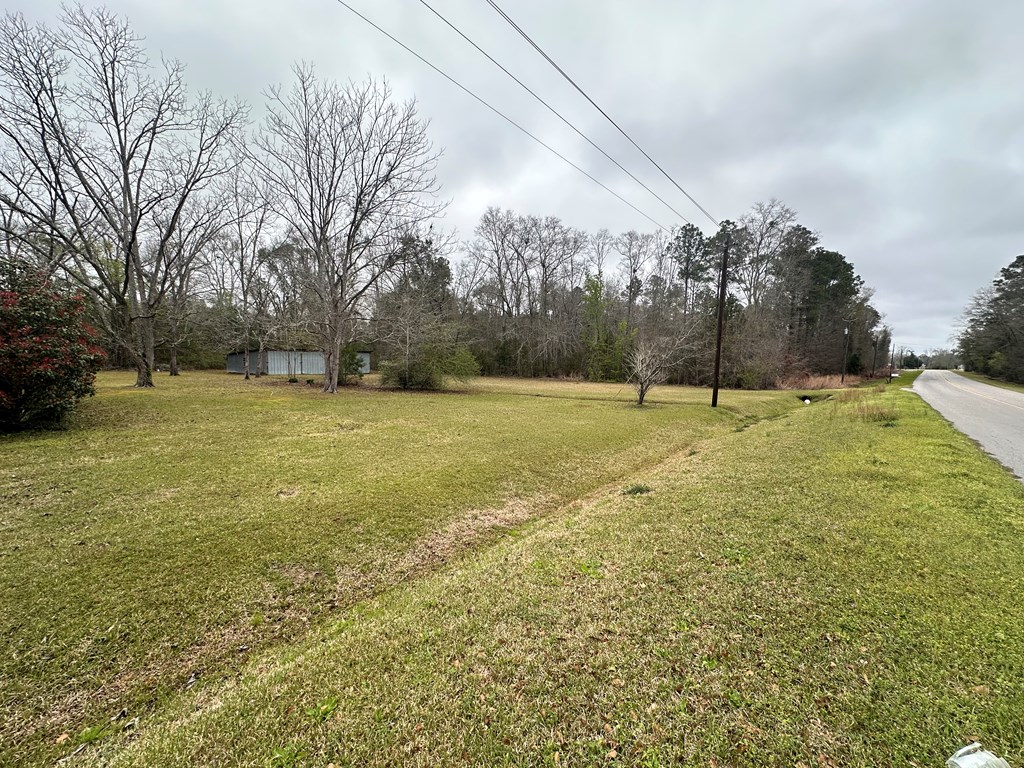 6508 S County Road 55, Cottonwood, Alabama image 7