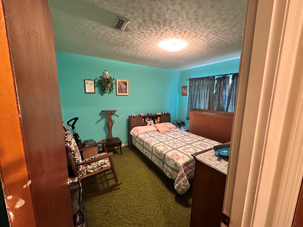 6508 S County Road 55, Cottonwood, Alabama image 21