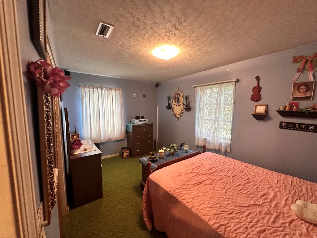 6508 S County Road 55, Cottonwood, Alabama image 29