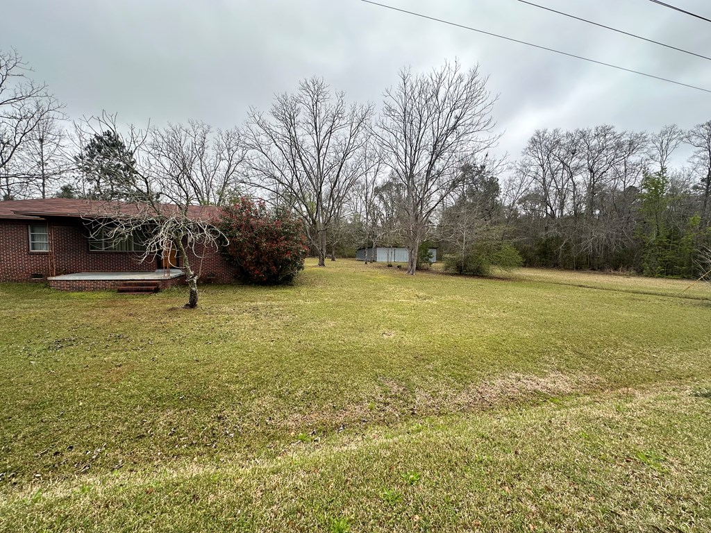 6508 S County Road 55, Cottonwood, Alabama image 6