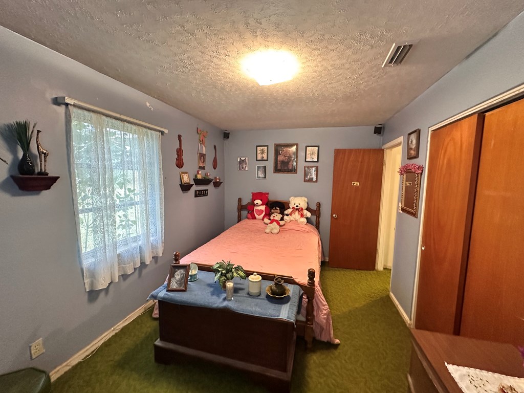 6508 S County Road 55, Cottonwood, Alabama image 31