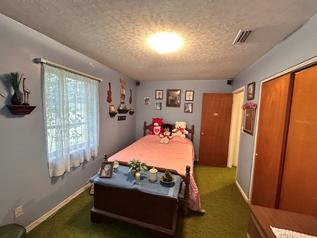 6508 S County Road 55, Cottonwood, Alabama image 30