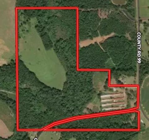 Vacant Land For Sale - County Road 99<br/> Geneva County, Chancellor, AL 36318