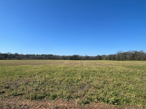 Vacant Land For Sale - 31.5+-AC Rammer Loop Rd<br/> Cottonwood, AL 36301
