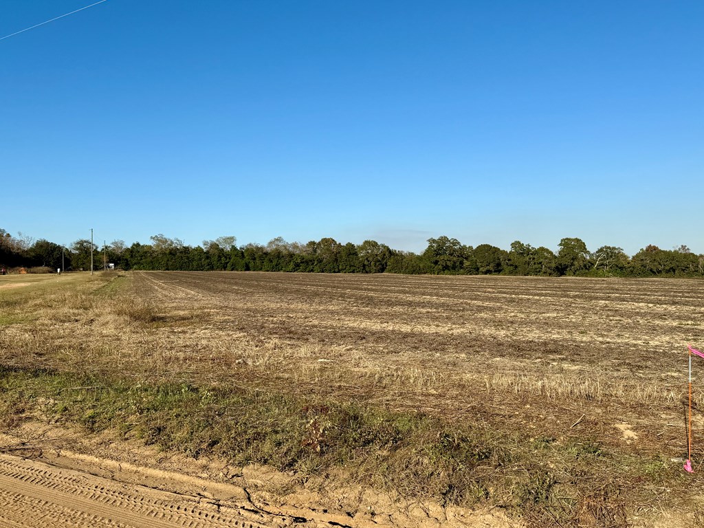 7.57 Acres Burdeshaw Raod, Headland, Alabama image 8